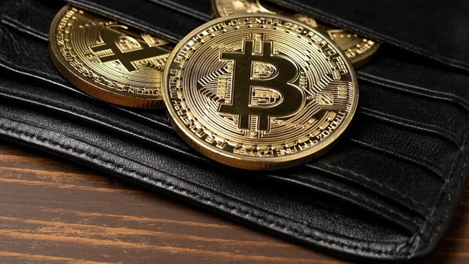 dormant bitcoin wallet